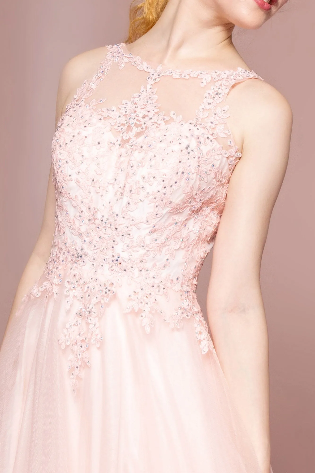 Floral Lace Embellished Bodice Mesh A-Line Dress GLGL2693