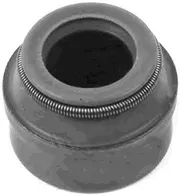 Valve Seal