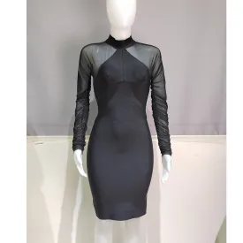 Women See Through Ruched Mesh Bodycon Dress Long Sleeve Back Zip Bodysuit